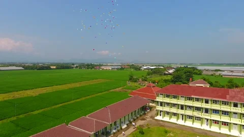 The class atmosphere in the middle of the rice fields is full of views of green Stock Footage 232185501