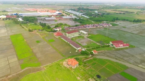 The class atmosphere in the middle of the rice fields is full of views of green Stock Footage 232188893