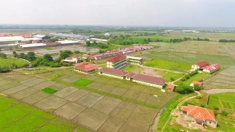 The class atmosphere in the middle of the rice fields is full of views of green Stock Footage 232189134