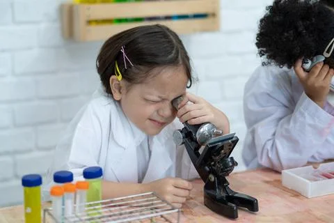 Class back to school Stock Photos