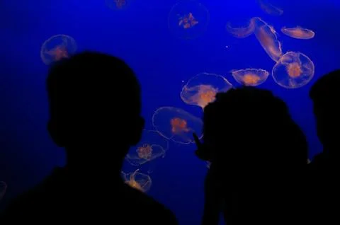 Class field trip Stock Photos