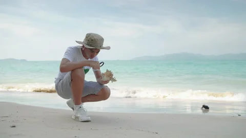 In class, an outdoor excursion to the beach Stock Footage 222324399