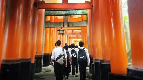A class is walking through the vermillion torii gates Stock Footage 112868561