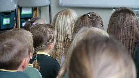 Class of young primary school children in the classroom Stock Footage 75191755