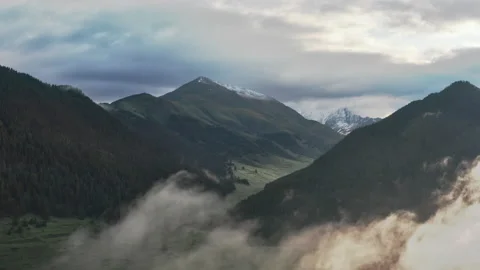 Classic Alps landscape: snow-capped peaks, meadows and dense green forests. 库存影片 157935507