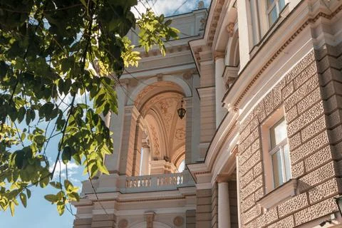 Classic Architecture with Greenery Overhead Stock Photos