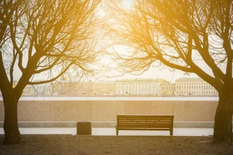 Classic bench on under the trees, in saint-petersburg Stock Photos