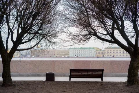 Classic bench on under the trees, in saint-petersburg Stock Photos