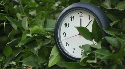 Classic black and white round wall clock in the bushes Vídeos de archivo 30367856