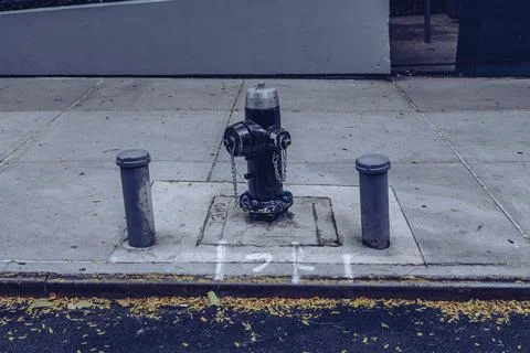 Classic Black US-style fire hydrant seen installed on a New York sidewalk. Stock Photos