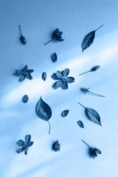 Classic blue floral pattern Stock Photos