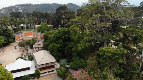 Classic Buddhist temple between forest. From above drone view classic Buddhist Stock Footage 117360319