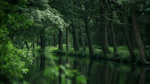 Classic car Stock-Footage 21243632