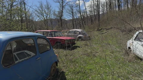 Classic car junkyard 動画素材 314039110