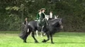 Classic cavalry big quadrille demonstration HD Footage