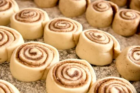 Classic cinnamon rolls before baking, placed in rows on an oven tray Stock Photos