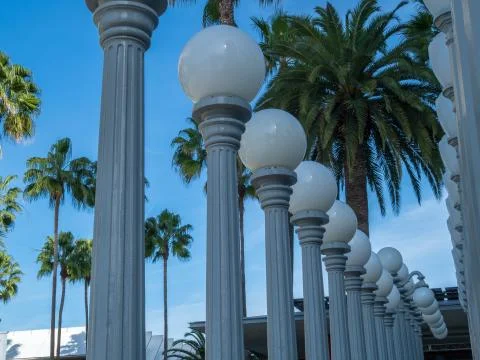 Classic circular light posts standing with palm trees in daytime Stock Photos