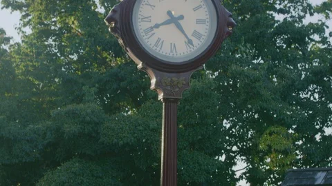 Classic clock in park Stock Footage 103397102