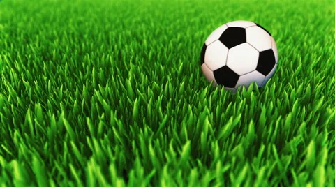 Classic colored soccer ball rolling on the grass field and stops Stock Footage 61075148