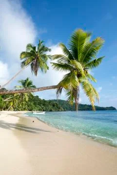 Classic exotic beach Stock Photos