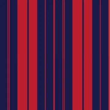 Classic Fashion Vertical Stripe Pattern Stock Illustration