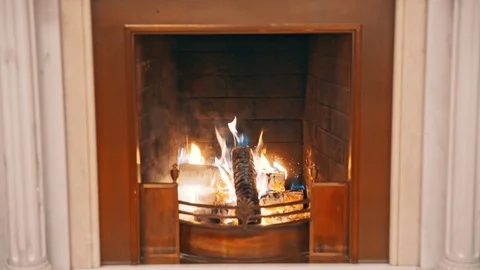 Classic fireplace with real burning fire and coals Stock-Footage 99561126
