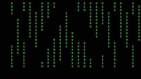 Classic green stream of binary code columns forms a matrix pattern. Stock Footage 337198413