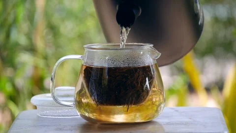 Classic Hot Tea Served in Elegant Cup Video stock 343657578