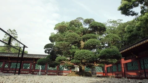 Dojo Stock Videos – Royalty-Free HD & 4K Videos