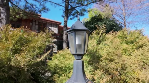 Classic Lamp Post Standing Among Garden Bushes Stock-Footage 342336042