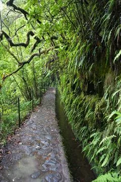 Classic Levada Path on Levada do Caldeirão Verde, PR9 Foto stock