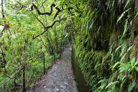 Classic Levada Path on Levada do Caldeirão Verde, PR9 Foto stock