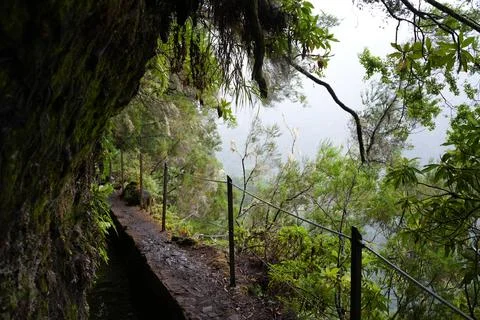 Classic Levada Path on Levada do Caldeirão Verde, PR9 Fotos Stock