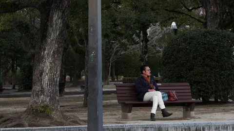 Classic Man On A Bench Stock Footage 239492346