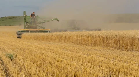 Classic Old-Fashioned Combine Harvests Wheat (Kansas USA) Vídeo Stock 61738955