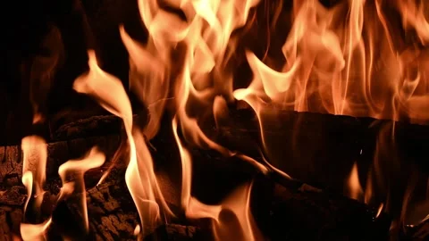 Classic old fashioned log fire Stock Footage 254802105