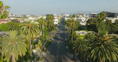 Classic Palm Tree Lined Beverly Hills Streets as Seen by Drone, Aerial Stock Footage 196889117