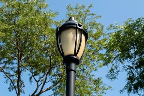 Classic park lamp post surrounded by lush green trees Foto stock