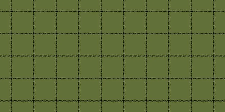 Classic plaid pattern in subdued olive green, crossed with fine black lines.  库存插图