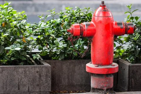 Classic Red Fire Hydrant Pillar with Iron Chain on Public Urban Sidewalk Ne.. Stock Photos