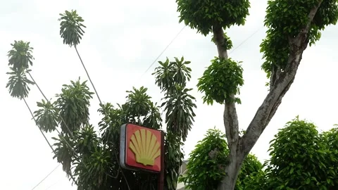 Classic Shell petrol sign left over from the early 90s nestled by trees Stock Footage 201305677