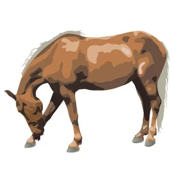 Classic silver dapple mare isolated vector illustration Stock Illustration