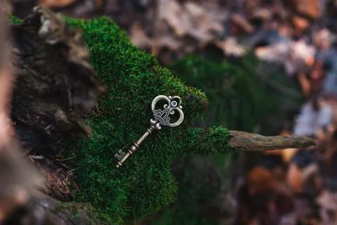 Classic skeleton key placed on a mossy branch outdoors Stock Photos