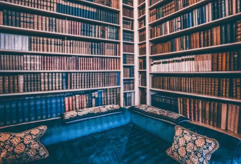 Classic sofa in ambiental light in old library Stock Photos