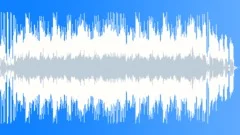 Classic Southern Rock Country Positive Energetic 30sec editStock Music
