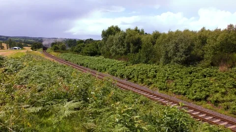 Classic steam train producing smoke travelling through countryside Stock Footage 80288094
