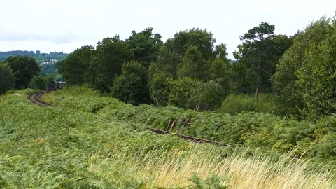 Classic steam train producing smoke travelling through countryside Stock Footage 80289189