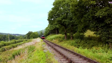 Classic steam train producing smoke travelling through countryside Stock Footage 80309758