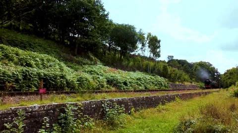 Classic steam train producing smoke travelling through countryside Stock Footage 80311225