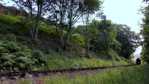 Classic steam train producing smoke travelling through countryside Stock Footage 80322583